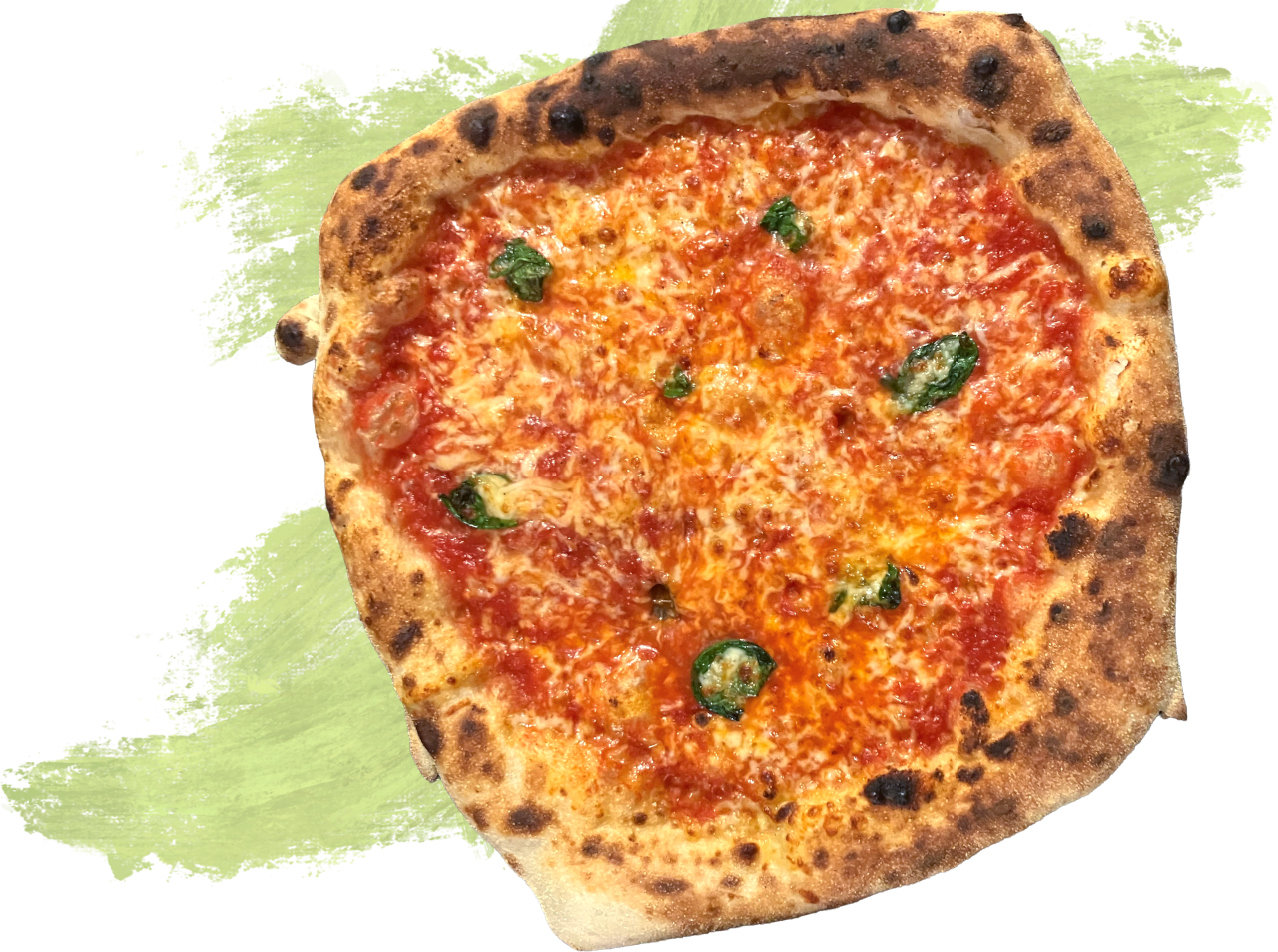 Pizza Margherita frisch aus dem Ofen